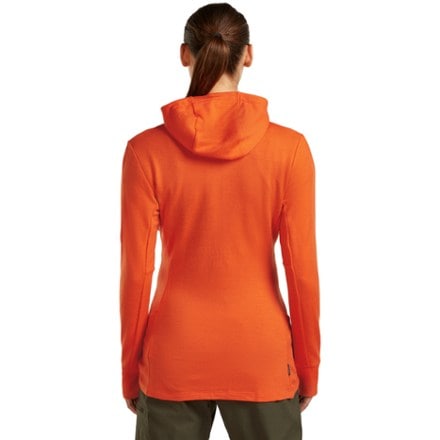 Icebreaker Merino 260 Quantum Long-Sleeve Zip Hoodie - Women's 2