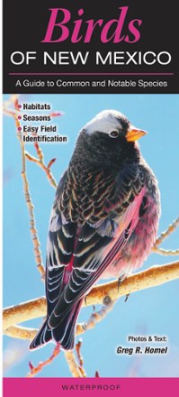 Quick Reference Publishing Birds of New Mexico 0