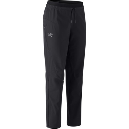 Arc'teryx Arc'teryx Women's Norvan Soft-Shell Pants  Black 4 - $240.00 at REI.com