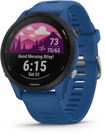 Garmin Forerunner 255 0
