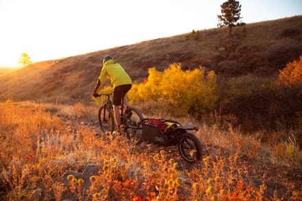 Burley Coho XC Cargo Trailer 9