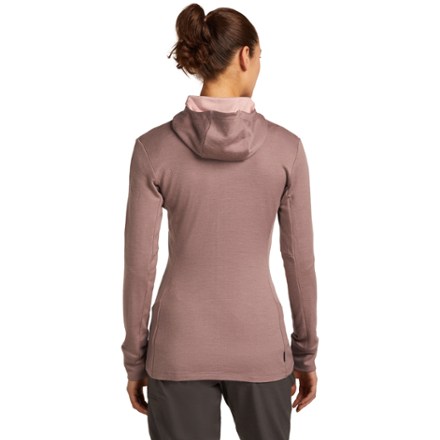 Icebreaker Merino 260 Quantum Long-Sleeve Zip Hoodie - Women's 1