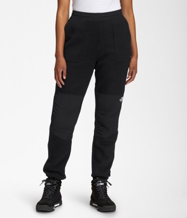 M's Valley Light Polar Fleece Pants - L / Black