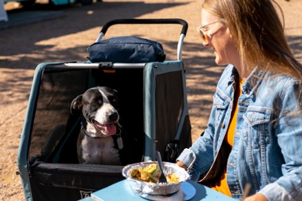 Bike Trailers for Dogs REI Co op