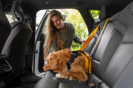 Thule Cappy Dog Harness - M 5