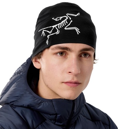 Arc'teryx Satoro Merino Toque 1