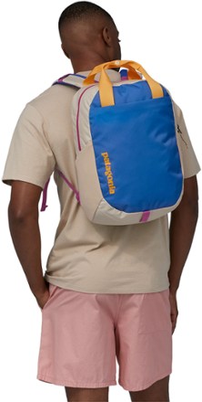 Patagonia Atom 20L Tote Pack 6