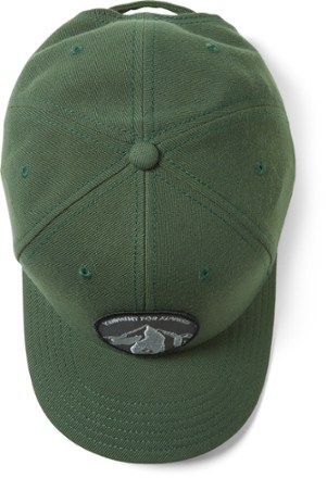 Black Diamond BD Brushed Cap 2