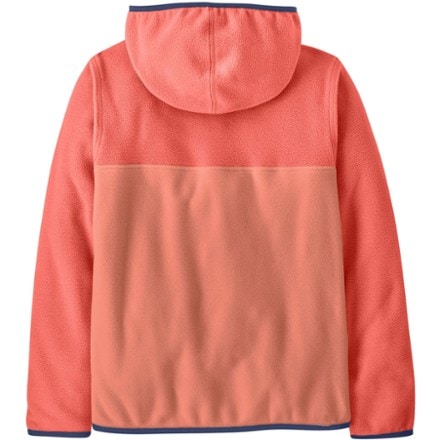 Patagonia Micro D Snap-T Fleece Jacket - Kids' 1