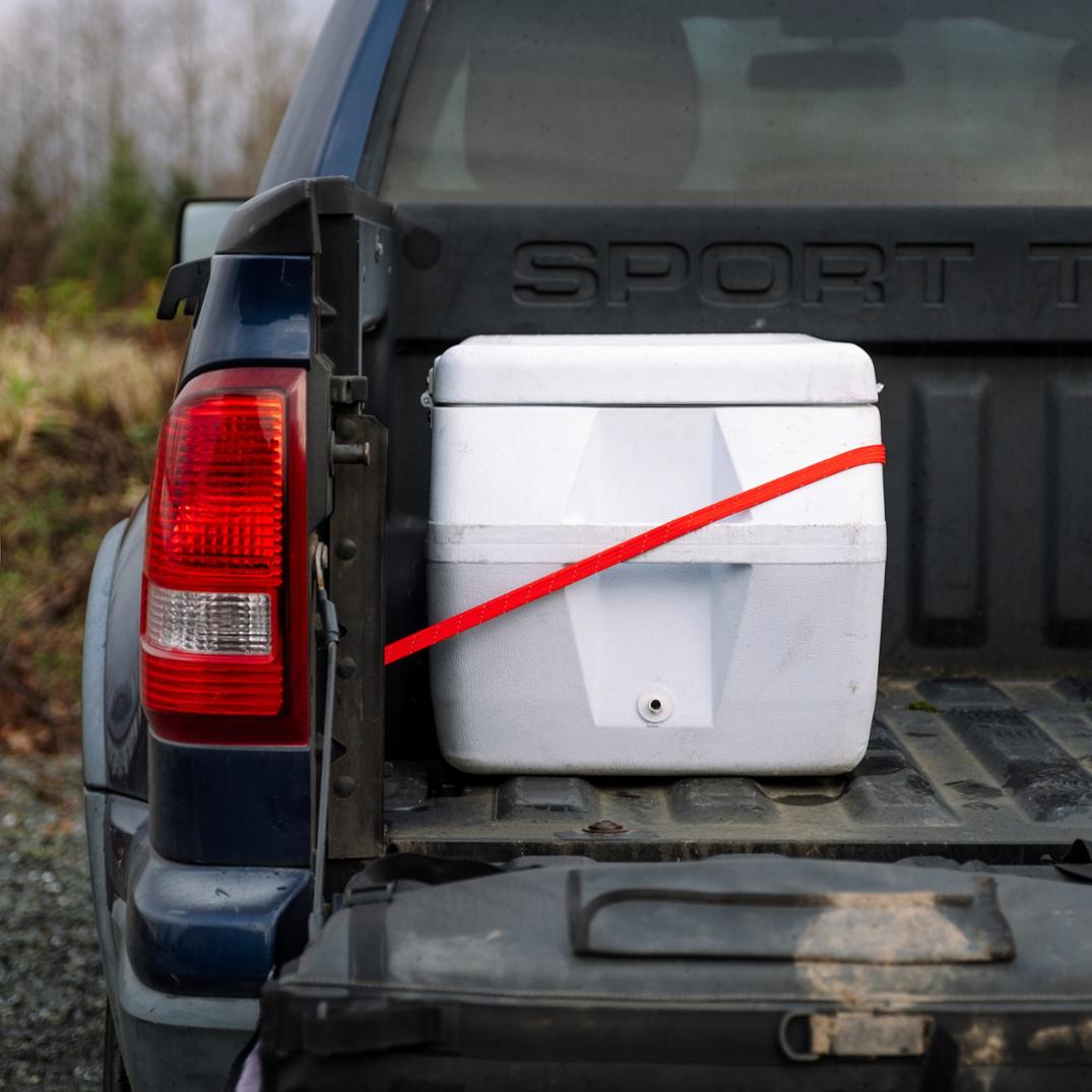 Location Image for Holdfast Straps - Package of 2