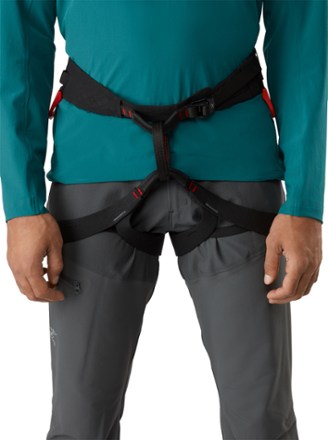 Arc'teryx C-Quence Harness - Men's 1