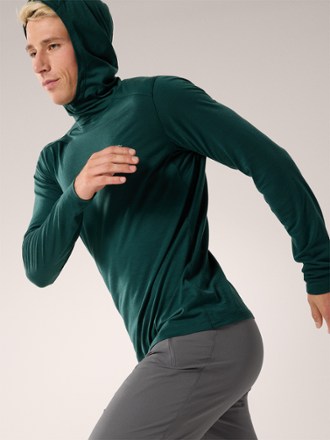 Arc'teryx Ionia Merino Wool Hoodie - Men's | REI Co-op