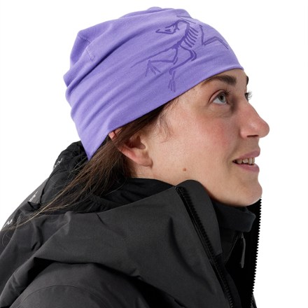 Arc'teryx Satoro Merino Toque | REI Co-op