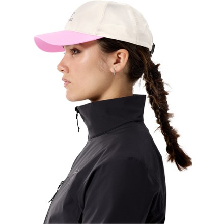 Arc'teryx Bird Word Cap 4