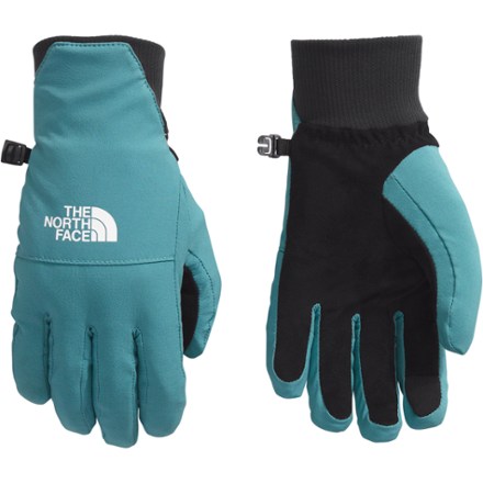 The North Face Shelbe Raschel Etip Gloves - Women's 0