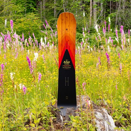 Arbor x Draplin Shiloh Camber Snowboard - 2023/2024 4
