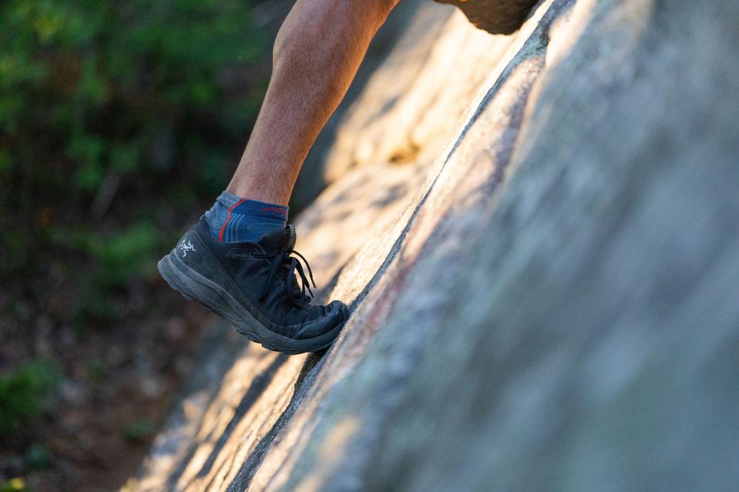 Location Image for Light Hiker No Show Lightweight Hiking Socks - Men's