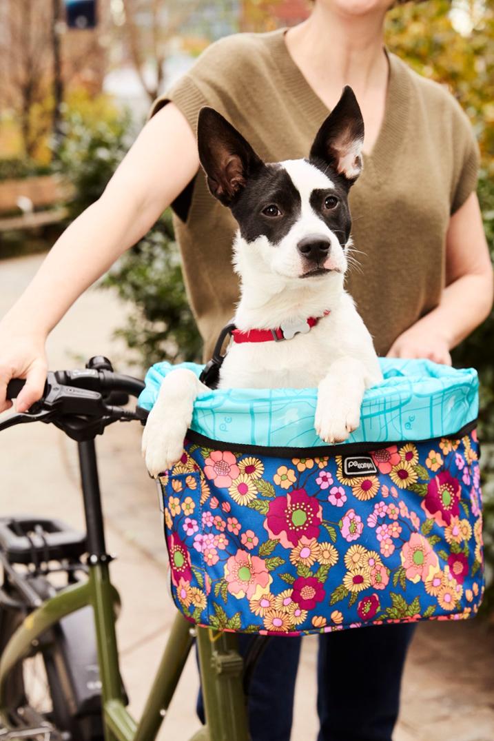 Location Image for Pinellas Bike Basket