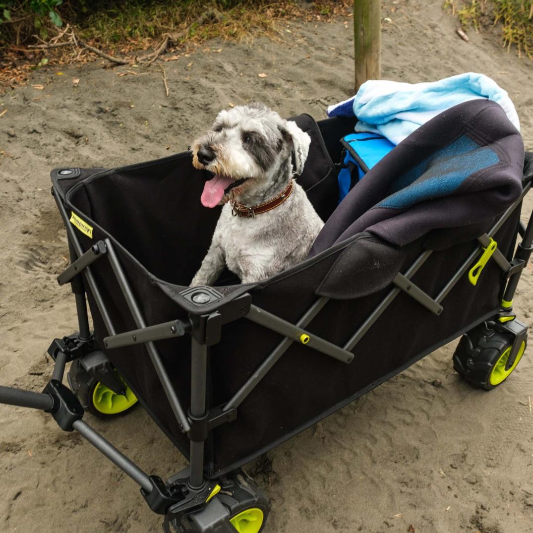 Location Image for Minimax Camp Wagon