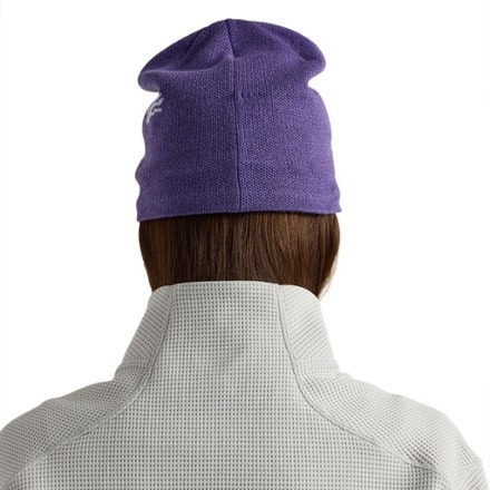 Arc'teryx Bird Head Toque Beanie 2