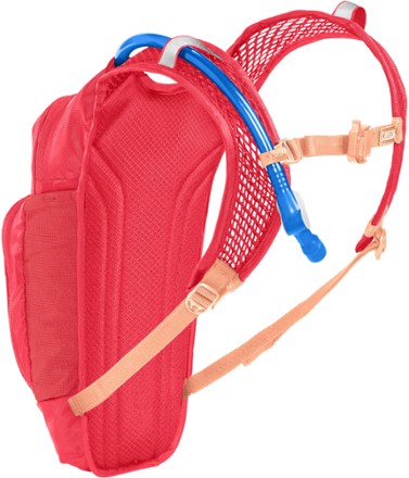 CamelBak Mini M.U.L.E. Hydration Pack - Kids' 1