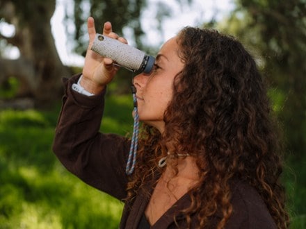 Location Image of color Piping Plover