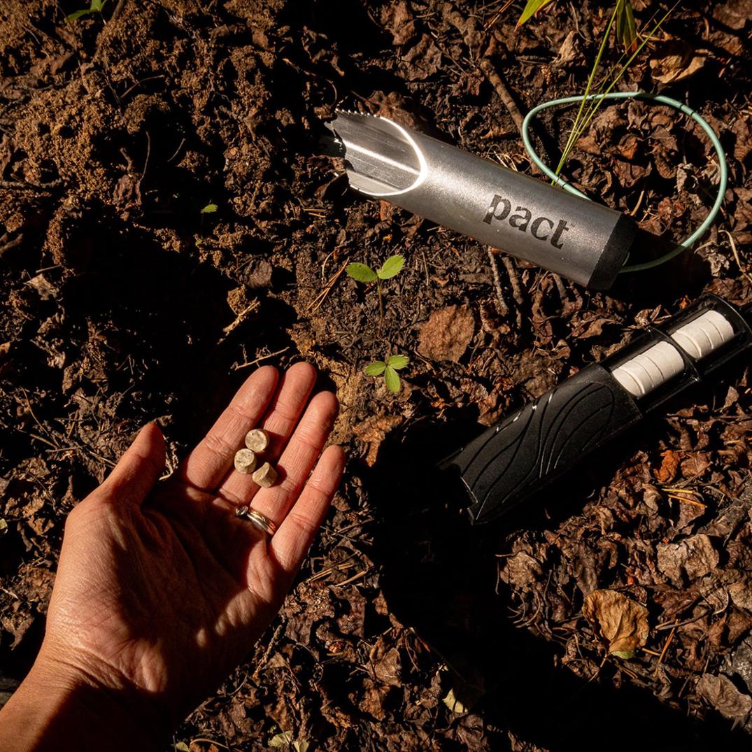 Location Image for Mycelium Tabs - Package of 120