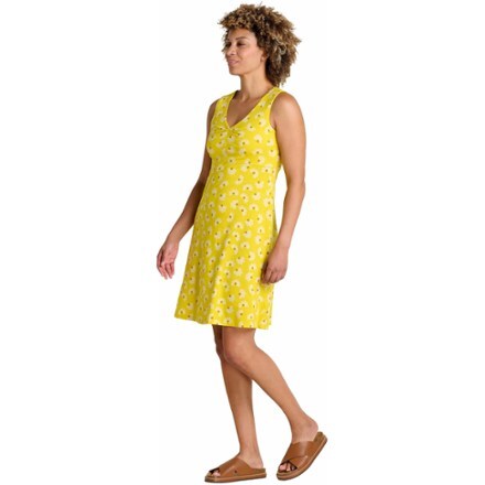 Toad&Co Rosemarie Sleeveless Dress 2