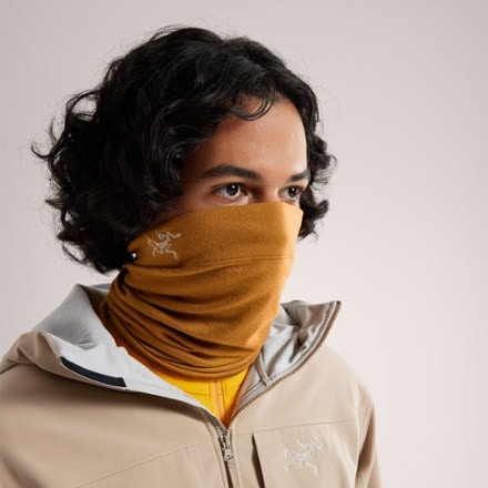Arc'teryx Rho Lightweight Wool Neck Gaiter 1