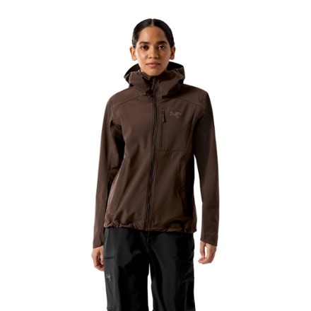 Arc'teryx Gamma MX Hoody - Women's 1