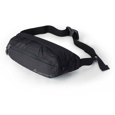 Gregory Fanny Packs REI Co op