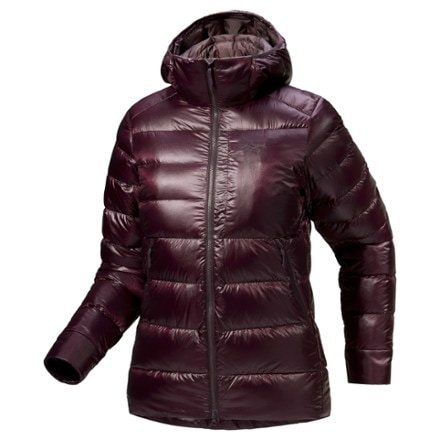 Arc'teryx Cerium SV Down Hoody - Women's 0