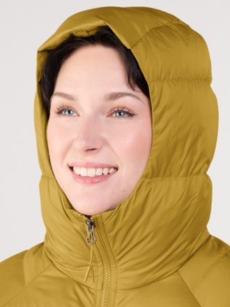 The North Face Hydrenalite Down Hoodie - Women's 4