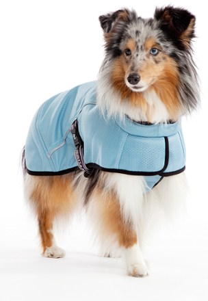 Alternative View (Blue)