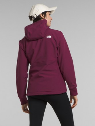 The North Face Shelbe Raschel Hoodie - Women's 1
