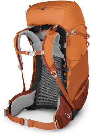 Osprey Ace 50 Pack - Kids' Back view (Orange Sunset)