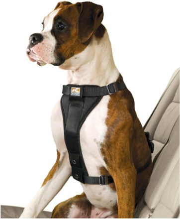 smart dog harness