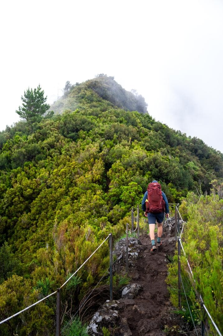 Location Image for Maven 48 Pack - Women's