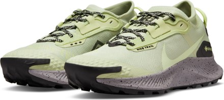 Nike Pegasus Trail 3 GORE-TEX Trail-Running Shoes - Women's 2