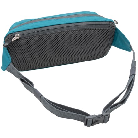 バッグ mountain research / fanny pack ALPS Mountaineering Stash Waist Pack | REI Co-op