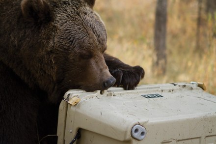 Bear Proof Locks not included (Tan)