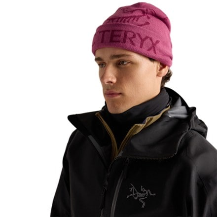 Arc'teryx Bird Word Toque 4