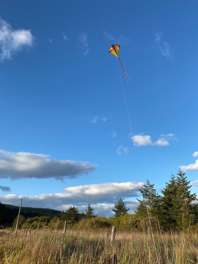 Location Image for Vertex Diamond Kite