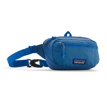 Rei fanny pack patagonia best sale
