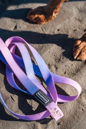 Wilderdog Waterproof Leash 3