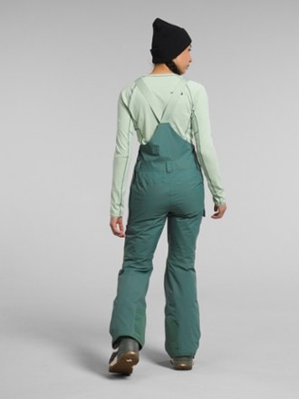 The North Face Freedom Insulated Bib Snow Pants - Women's 1