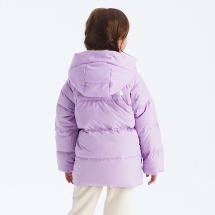 The North Face North Down Fleece-Lined Parka - Toddlers' 2