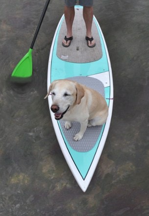 Seattle Sports SUP Dog Board Pad 2