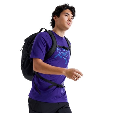 Arc'teryx Ionia Merino Wool Logo Base Layer Shirt - Men's 5