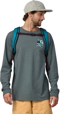 Patagonia Black Hole Pack - 25 L 2